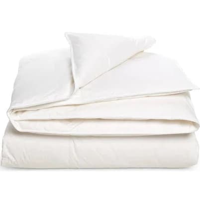 Nordstrom All Season Down Comforter