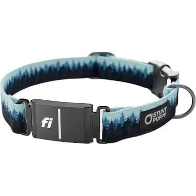 Stunt Puppy Dog Collar