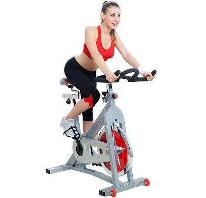 Sunny Health and Fitness SF-B901 Pro Indoor Cycling Bike