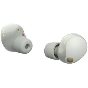 Sony True Wireless Noise Cancelling Earbuds