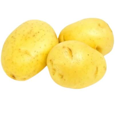 yukon gold potatoes