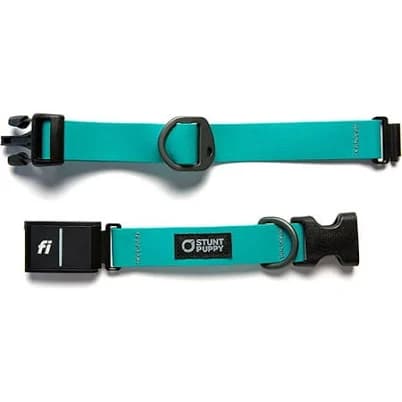 Fi Series 3 Ready Dog Collar