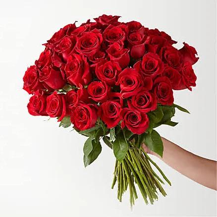 FTD Fifty Long Stem Red Roses