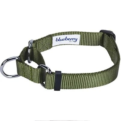 Blueberry Pet Martingale Dog Collar