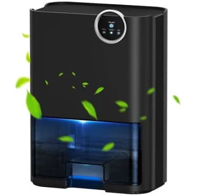Dehumidifier for Home