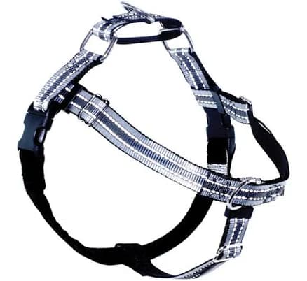 Freedom No- Pull Dog Harness
