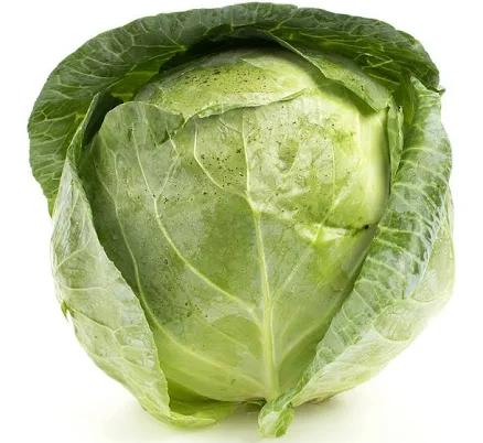 BoxNCase Green Cabbage