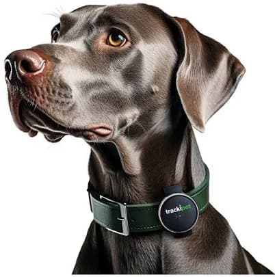Tracki Pet Smart GPS Dog Tracker