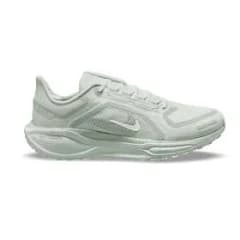 Nike Men's Pegasus 41 GORE-TEX Running Shoes