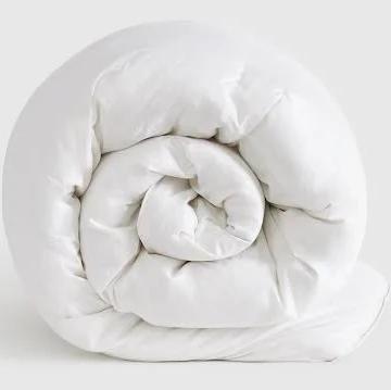 Quince All-Season Luxe Goose Down Comforter