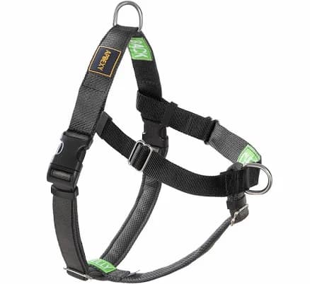 APDEXY Freedom No Pull Dog Harness for Medium Dogs, Easy Walker, Anti Pulling with Two Stainless D-Rings, Comfortable, Sewn-in Instructions Tags for
