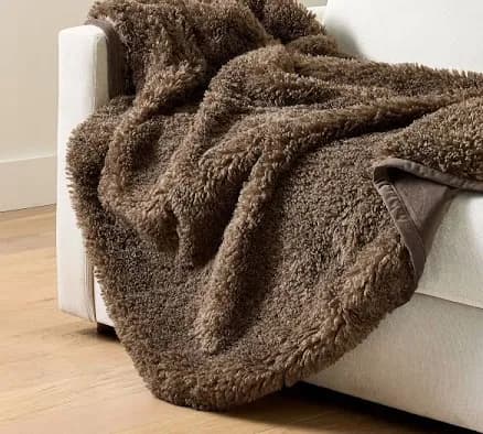 Pottery Barn Dream Faux Fur Throw Blanket