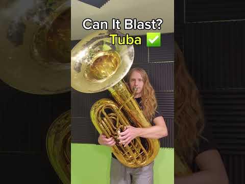 Can it blast? #music #brass #challenge #fyp #band #musician #Tuba #flute #helicon