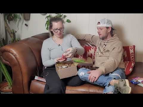 Vegan Cuts | Snack Box Unboxing | February 2025