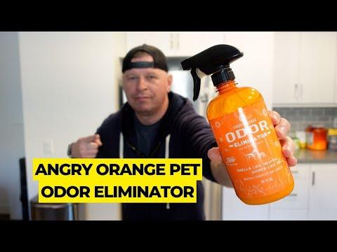 ANGRY ORANGE Pet Odor Eliminator Review