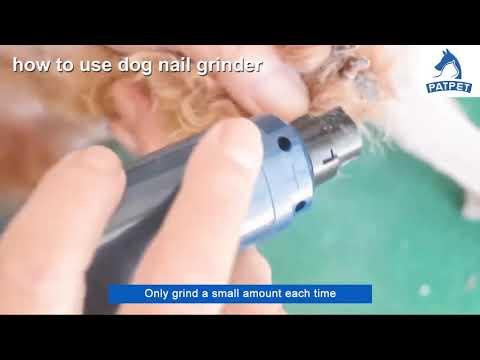 How to Use Dog Nail Grinder | PATPET