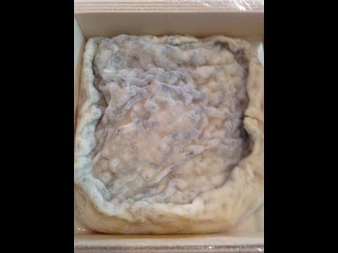 "Bonne Bouche" cheese from the Vermont Creamery