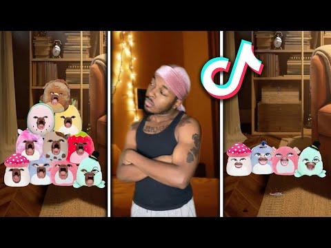 Dimpey Stuffed Animal Compilation