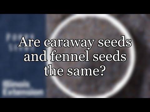 Are caraway seeds and fennel seeds the same?