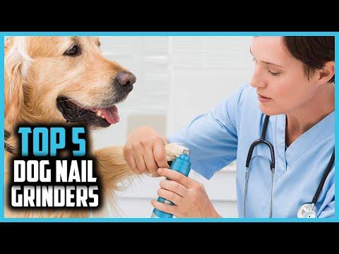 ✅Top 5 Best Dog Nail Grinders Reviews of 2024