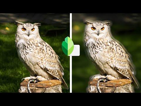 how to blur background in snapseed mobile | snapseed blur effect