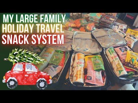 ROAD TRIP SNACK SYSTEM || WHAT I PACK FOR MY FAMILY WHEN WE TRAVEL