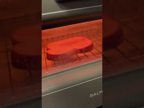 BALMUDA $300 Toaster First Impression