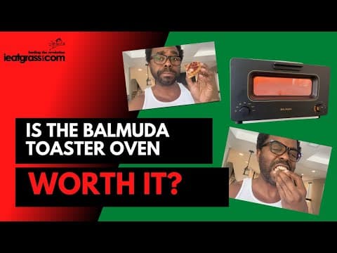 REVIEW: Is the Balmuda Steam Oven Toaster Worth It?