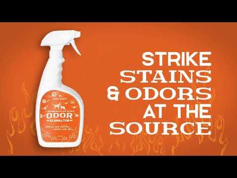 How To Use Angry Orange 32oz Enzyme Stain & Odor Remover