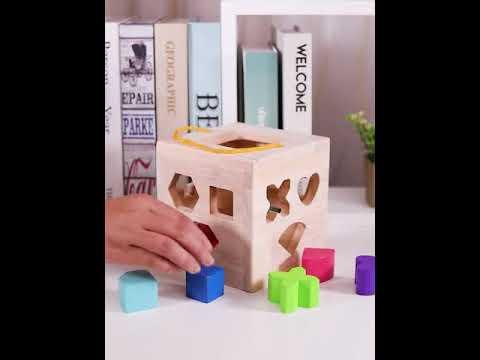 GEMEM Shape Sorter Toy My First Wooden 12 Building Blocks Geometry Learning Matching Sorting Reviews