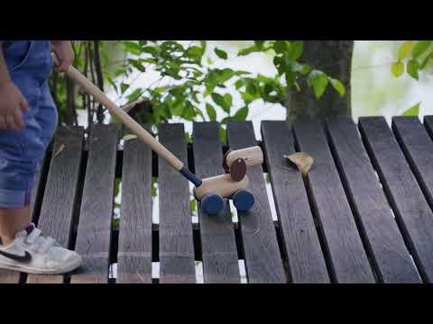 PlanToys | Push & Pull Puppy