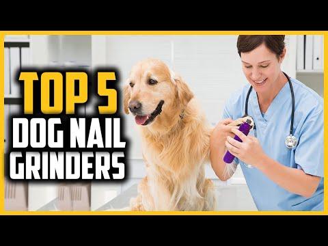 Top 5 Best Dog Nail Grinders in 2024 Reviews