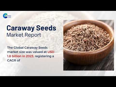 Caraway Seeds Market Report 2024 (Global Edition)