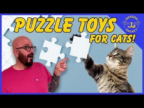 Puzzle Toys for Cats: Everything You Need to Know!