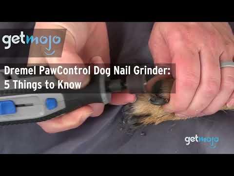 How to use Dog Nail Trimmer | Pet Grooming Tool Kit | Dremel PawControl Dog Nail Grinder and Trimmer