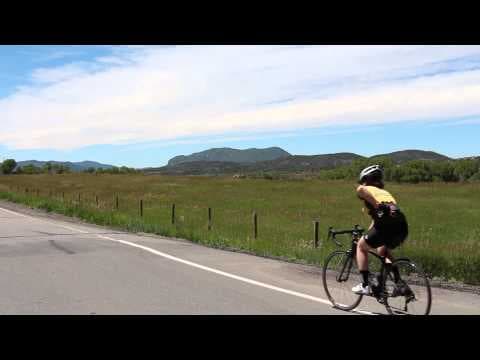 Honey Stinger Classic Energy Gels
