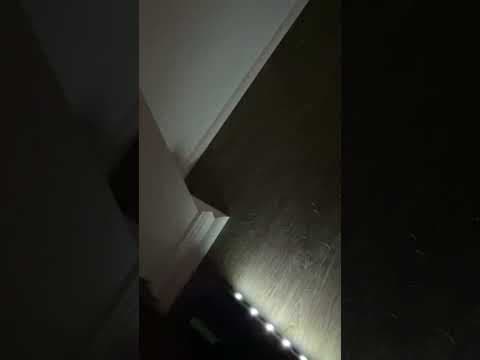 Effortless cleaning with wyze cordless vacuum! #wyze #vacuum