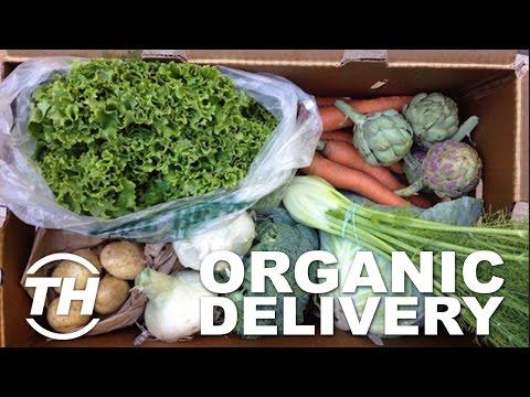 Top 3 Healthy Food Services | Organic Delivery