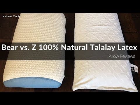 Bear Pillow vs. Z 100% Natural Talalay Latex Review