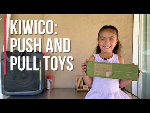 KiwiCo - Push and Pull Toys