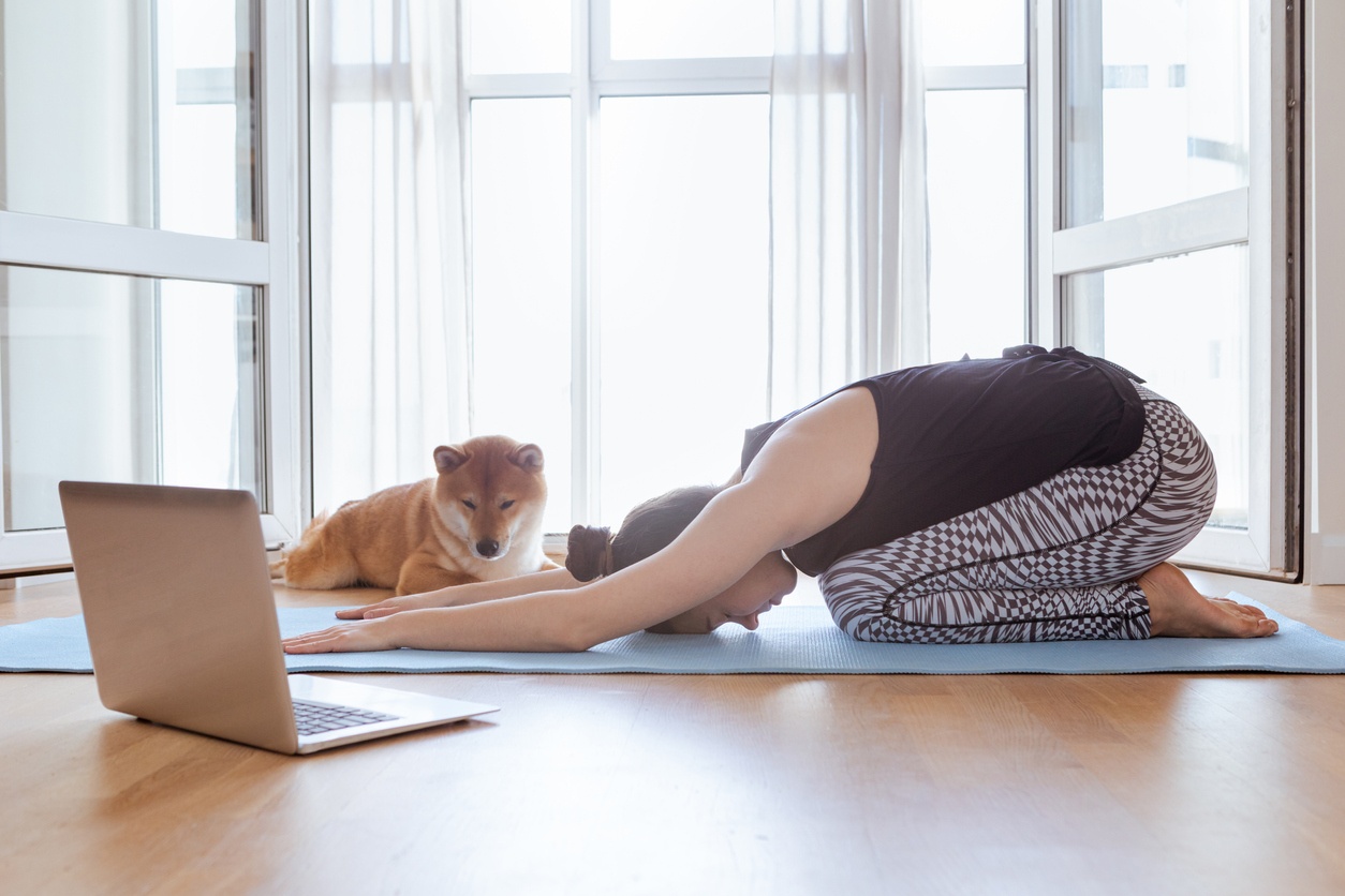 woman-in-childs-pose-on-mat-near-laptop-and-dog-while-doing-yoga-at-home