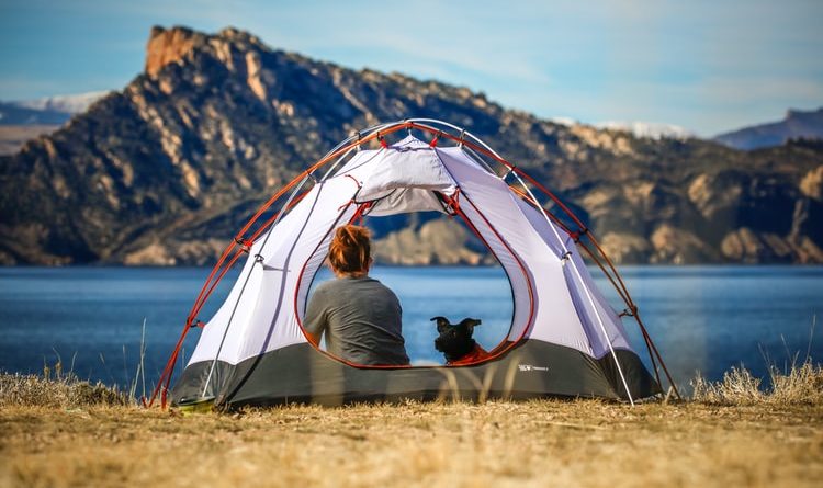 A woman sitting in an open tent with her dog while looking out over a blue lake and mountains