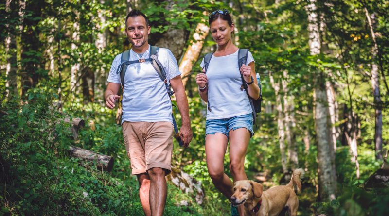 A man and a woman hiking through a forest with a small brown dog