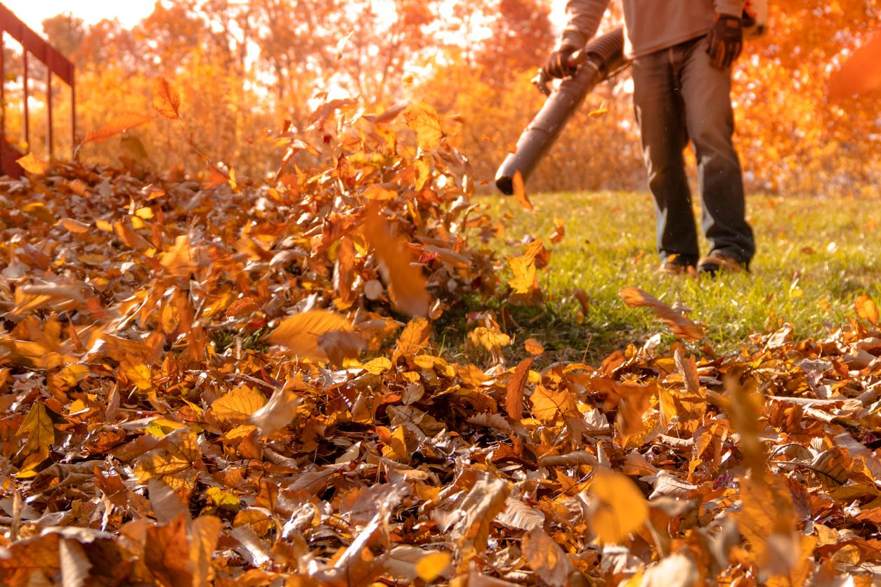 benefits-of-switching-to-an-electric-leaf-blower-this-fall-productiq